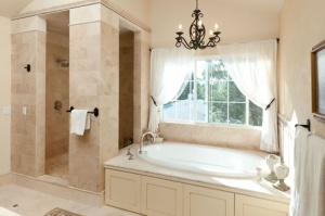 shower-and-tub-master-bath-remodel-design